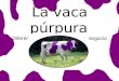 La Vaca Púrpura. Resumen