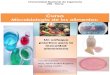 Microbiologia de losalimentos libro
