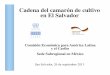 Foro Acuícola 2013 - Presentación del Diagnóstico de la cadena de camarón de cultivo en El Salvador