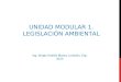 Unidad modular 1   legislación ambiental