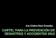 CARTEL PREVENCIÓN DE DESASTRES Y ACCIDENTES 2013