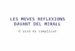 09 Reflexions Davant D’Un Mirall 2.1