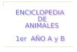 Enciclopedia de animales 1er año