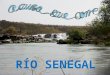 Río Senegal