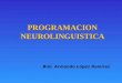 LA PROGRAMACION NEUROLINGUISTICA (PNL)