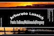 Arboreto Lussich - Uruguay