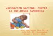 Influenza pandemica ah1 n1 2011