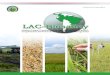 Folleto de resultados  Proyecto LACBiosafety: Bioseguridad en el cultivo de arroz en Costa Rica