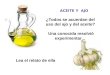 Ajo Y Aceite De Oliva 20 Kilos Menos