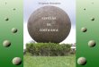 Enígmas Notáveis #6 - As Esferas da Costa Rica