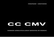 Informe creatividad e innovaccion_CMV