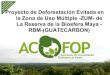HONDURAS COURSE - Proyecto de deforestación evitada RBM (GUATECARBON) / Juan Giron