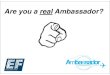 Ambassadors EF