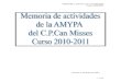 Memoria AMIPA 2010-2011