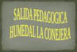 Presentacion Del Humedal