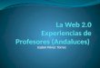 Experiencias en la Web 2.0