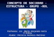Concepto De Sociedad   Estructura   Grupo   Rol