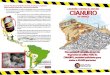 Campaña contra el uso del cianuro en minería: Díptico