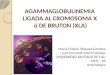 Agammaglobulinemia De Bruton Ligada A X