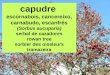 Capudre (Sorbus aucuparia)