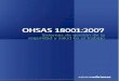 002 norma ohsas18001-2007aenor