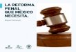 La Reforma Penal que México necesita