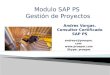 Sap PS project system Consultoria, Entrenamiento