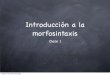 Morfosintaxis Clase 1