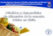 Pérdidas y Desperdicios de Alimentos de la Canasta Básica en Chile (Luis Sáez)