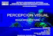Percepcion visual en la arquitectura. genensis mendoza