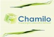Chamilo lms-plan-recuperacion-clases-unfv-2012