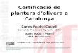 Certificació de material vegetal d'olivera a Catalunya