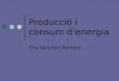 Producció i Consum Denergia