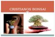 Cristianos bonsai
