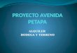 Proyecto avenida petapa