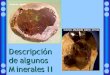 PresentacióN Fichas Minerales Silicatos