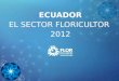 Floricultura en Ecuador 2012