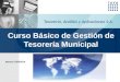 TESORERIA: CURSO BASICO DE GESTION DE TESORERIA MUNICIPAL