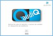 Curso online: control de calidad interno en auditoría con audiQ