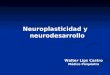 Clase 3 Neuroplasticidad, Neurodesarrllo Y Funciones Cognitivo Emocionales Dr. Lips