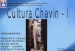 Cultura Chavin -I