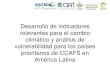 Desarrollo de indicadores relevantes para el cambio climático y análisis de vulnerabilidad para los países prioritarios de CCAFS en América Latina