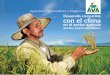 Desarrollo Compatible con el Clima en la Alta Cuenca del Rio Cauca