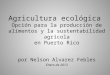 Agricultura ecológica y producción de alimentos en Puerto Rico
