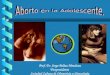 014 curso flasog aborto en la adolescente