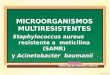 Microorganismos multiresistentes (marsa y acinetibacter baumannii)