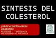 Sintesis Del Colesterol Y Lipoproteinas