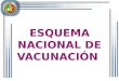 Esquema de vacunación de Ecuador