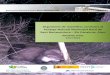 Informe - Seguiment de mamífers carnívors al Paratge Natural Municipal Racó de Sant Bonaventura - Els Canalons, Alcoi - Informe final