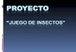 Proyecto de insectos[1]